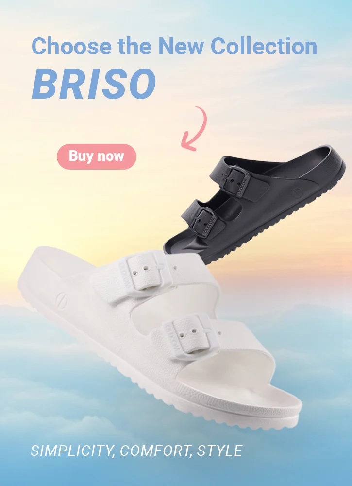 Slides Briso