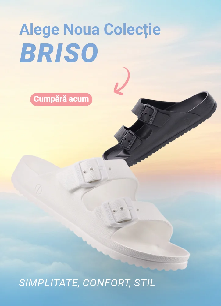 Șlapi Briso