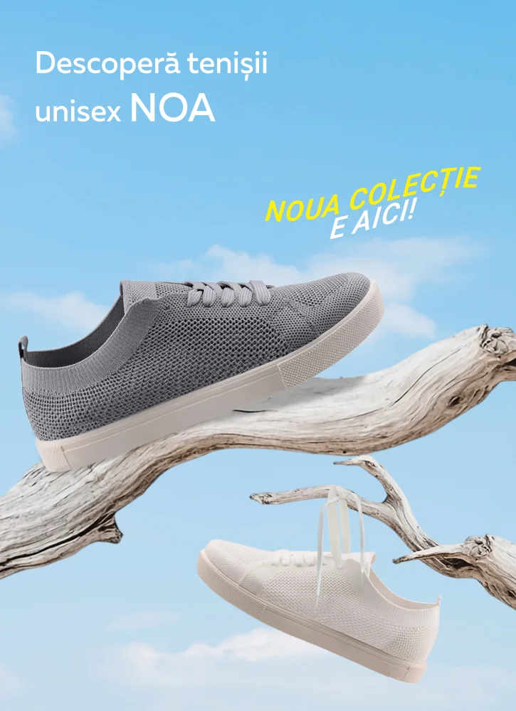 Teniși Noa